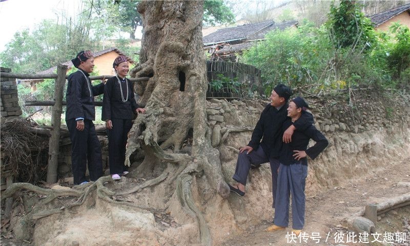 浪漫|520走进坡芽歌书，感受穿越千年的浪漫密码