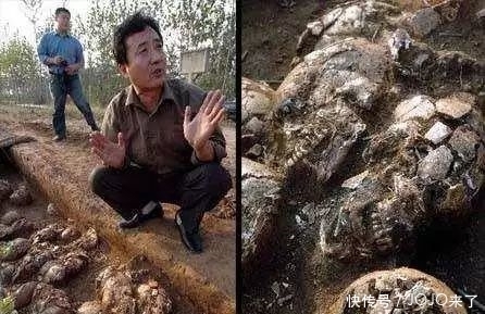 文献资料|2280年来,中国人一直打扫着这个尸骨坑…