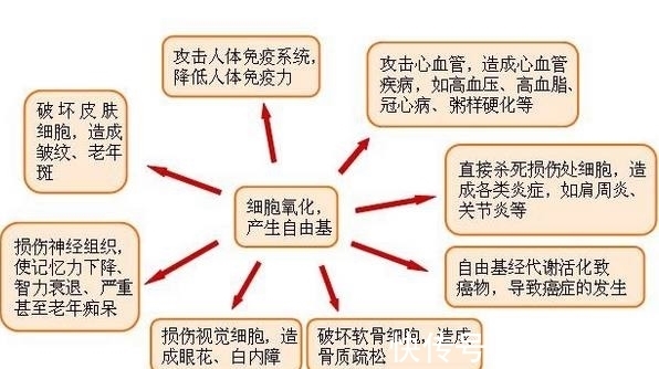 蜂蜜|天然蜂蜜加上他，堪比面膜精华液，美白祛斑还抗皱