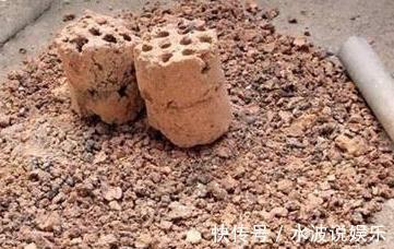 瓦块|高手养花的3个“法宝”,不烂根不黄叶,比啥土、啥肥都好