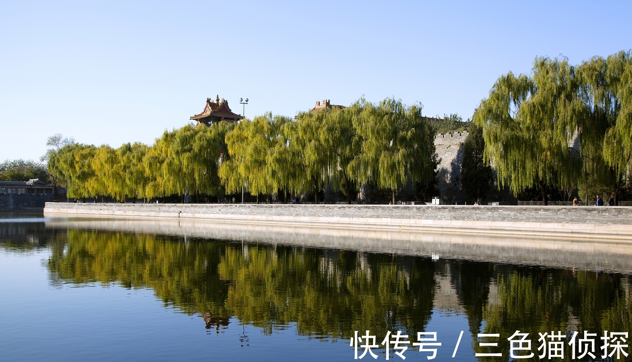 轻盈$独特不过这首诗:全篇四句描写杨柳,后两句尤其别出心裁