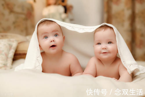 遗传基因|双胞胎长得不一样，爸爸坚持做亲子鉴定，结果出来全家都乱了