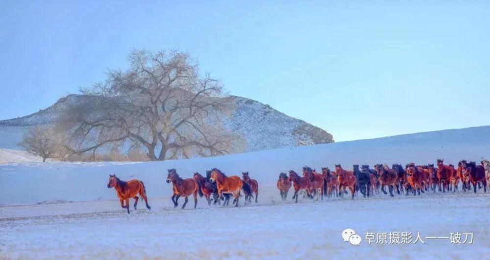 阿鲁科尔沁的冬季，美成了一首风花雪月的诗！