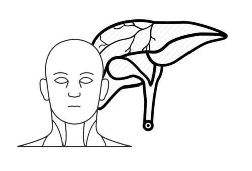医院|体内有癌，肩膀第一个知道？肩膀出现这种迹象，最好去医院查肝CT