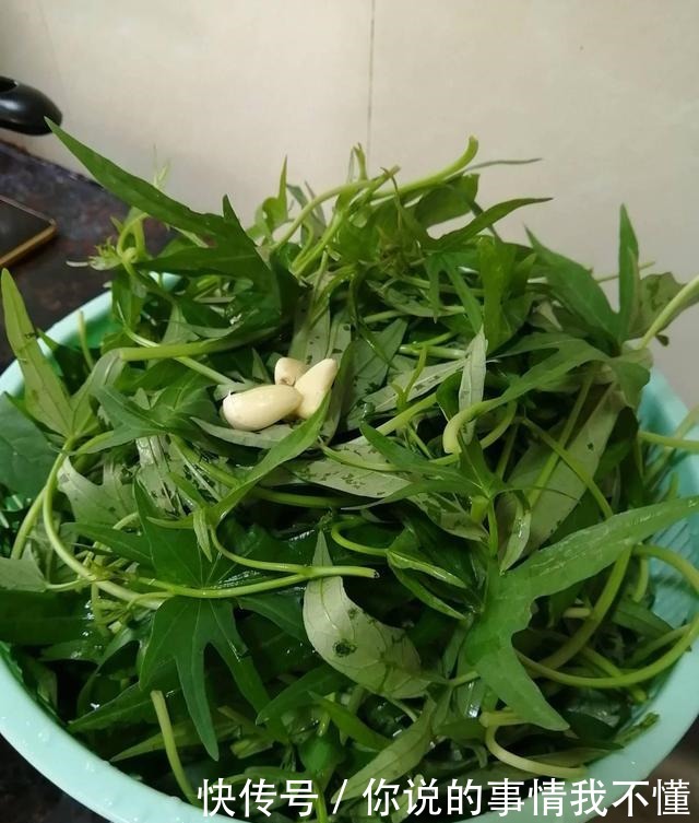 入秋后,吃冬瓜吃南瓜,不如吃它,钙是鸡蛋很多倍,却才1元1斤