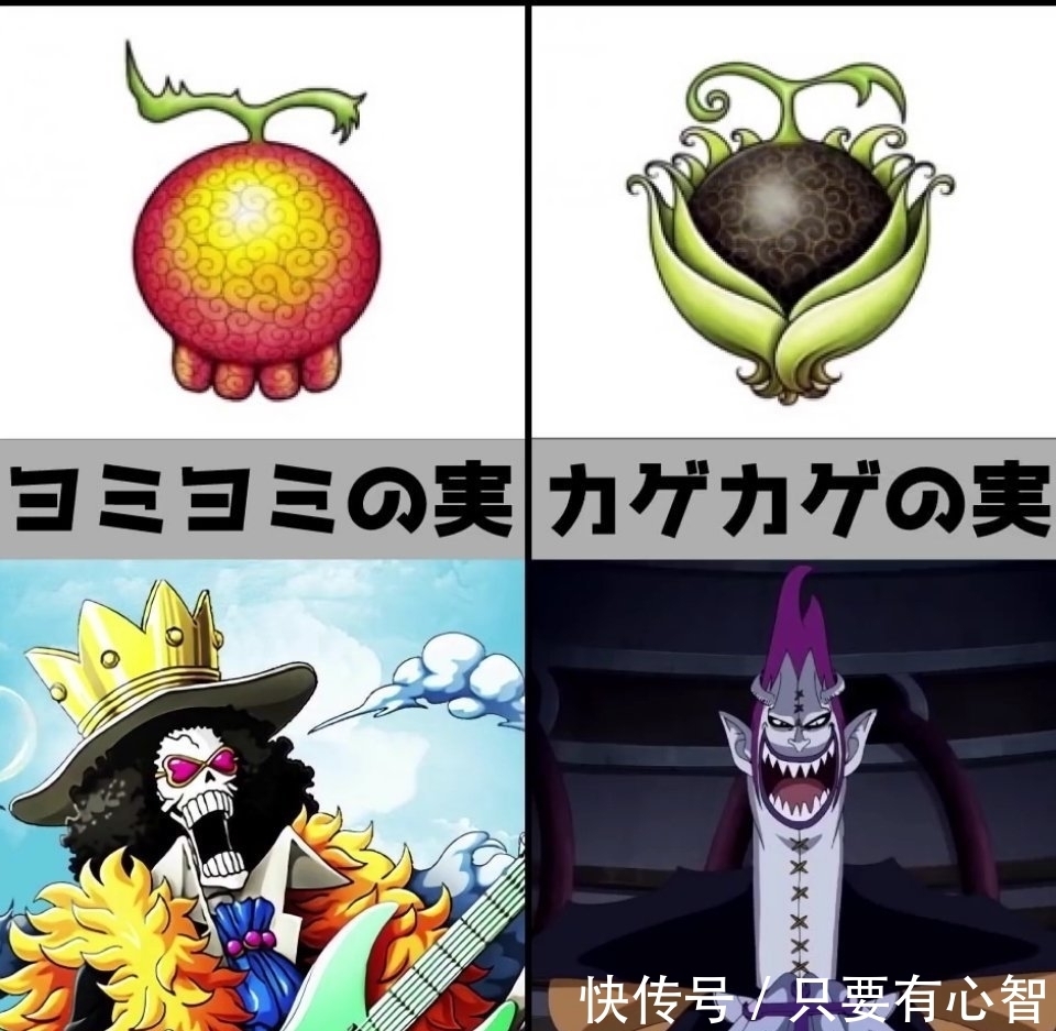 海贼王|《海贼王》恶魔果实，你最想拥有哪种？花花果实最漂亮