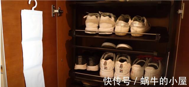 一人|一人一狗，独居生活有条有序，要是没结婚，我也想过这样的生活