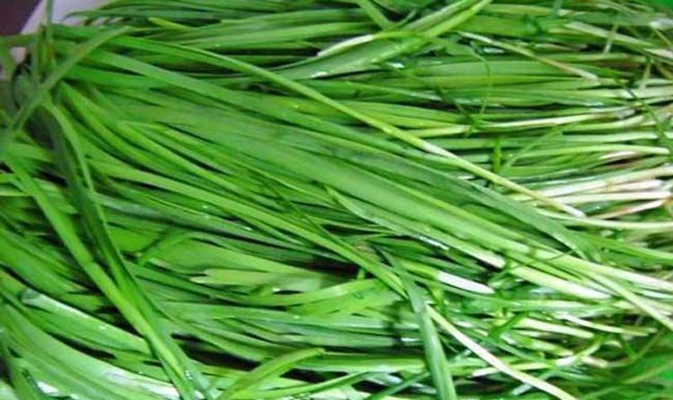 葛根|26岁宝妈3天下奶1500毫升,医生:1物是天然“下奶剂”,可多食