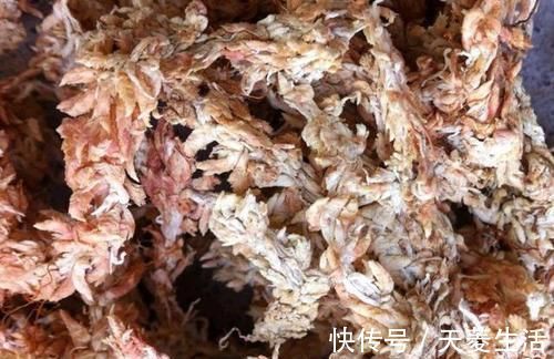 烂根|蝴蝶兰上盆时,水苔压紧好还是不压紧好?灵活应对,根粗苗壮