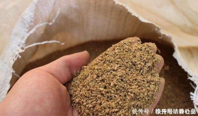 伏天|伏天一热,我就只想用这鲤鱼饵,十用九灵,试过的人都拍案叫绝