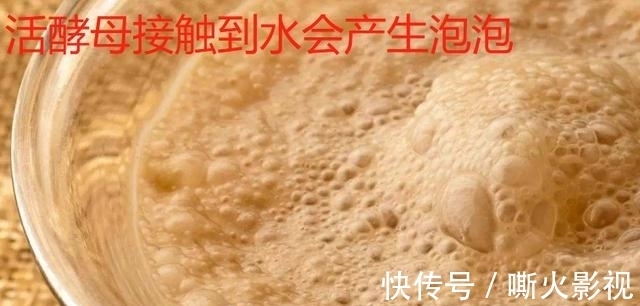 为什么我用了酵母粉发的面不软,问题出在哪里?