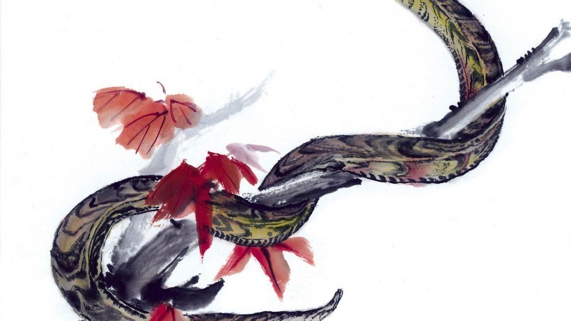 生肖|生肖鸡跟啥生肖结婚,才是真正的龙凤配除了感情好,还不缺钱花