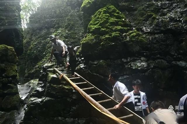 岩壁|探秘鬼斧神工的汉中“大屋基”地缝峡谷，秦巴深处的地质奇观