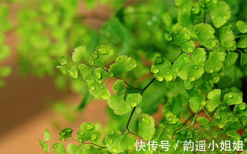 花香$隔岸桃花照眼明,一船春水载歌声