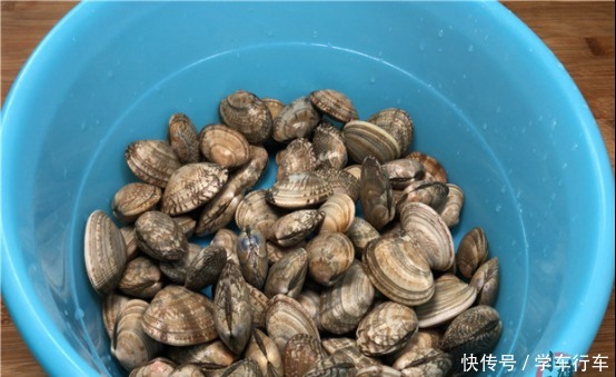 今天才知道,洗花蛤不能只加盐,老渔民用它泡一泡,花蛤狂吐沙!