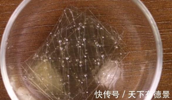 牛奶液|1分钟学会果冻万能做法,新手也能一次成功,再也不用花钱买了!