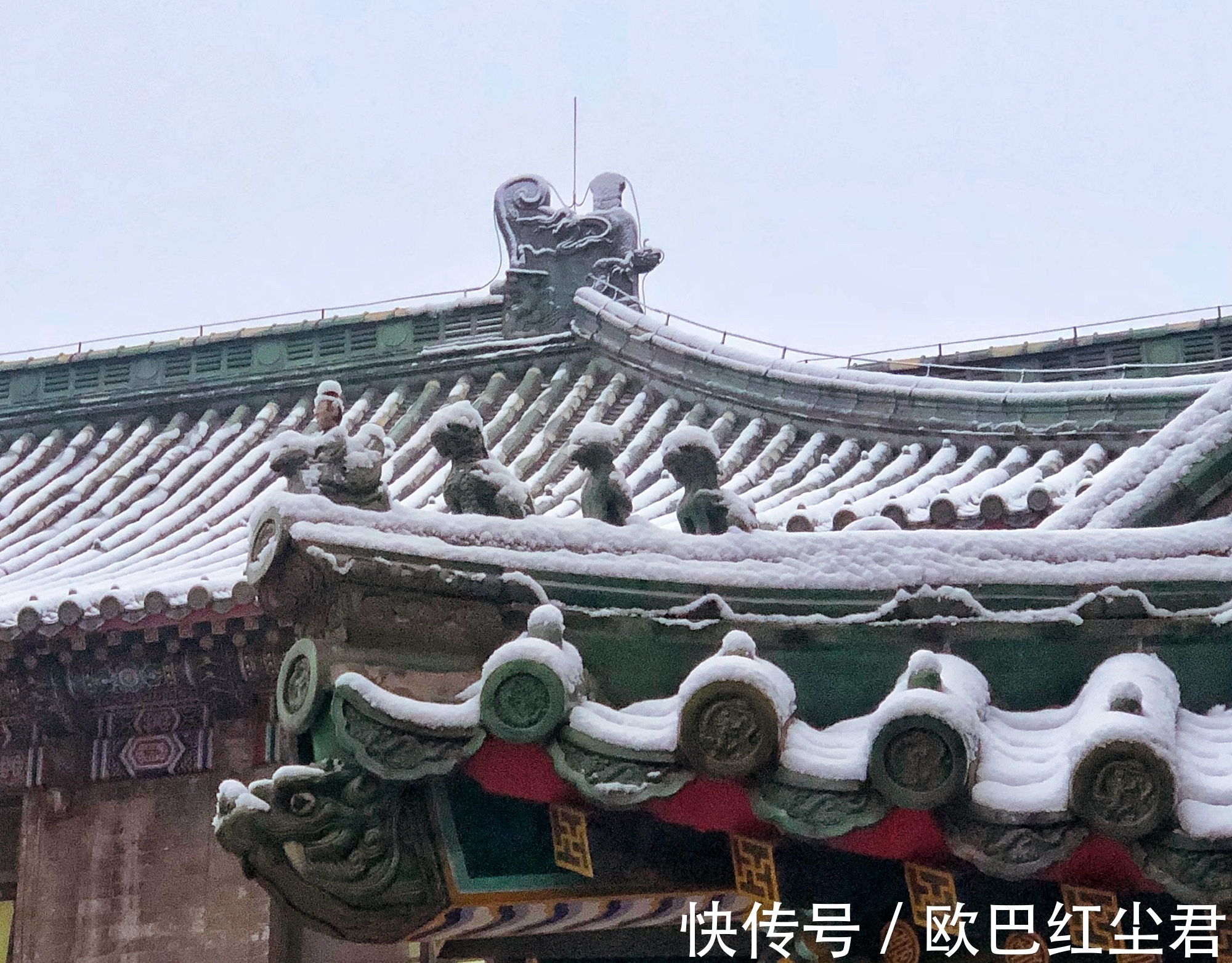 冬花#唐诗唯美春雪七首:夜来春雪照西楼,一枝春雪冻梅花