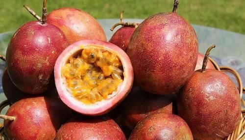 香菇|4种食物被称为“长寿果”，延缓衰老对大脑最好，老人爱吃就对了