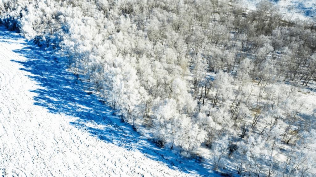 凝霜|凝霜挂雪白狼峰雾凇迎客来