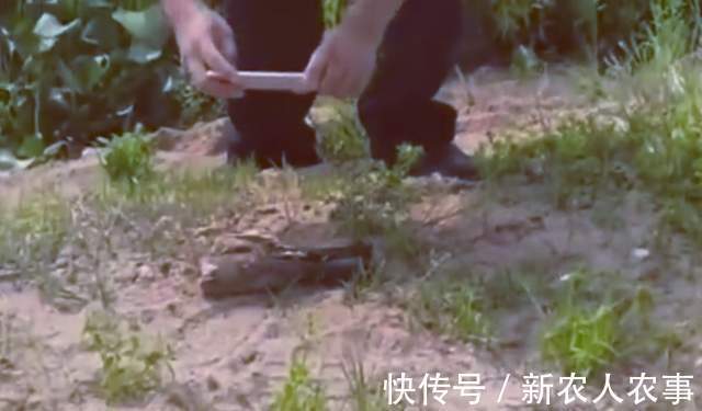 男子|海南岛一男子野钓发现意外收获,惊喜变成了惊吓,警察也到现场了