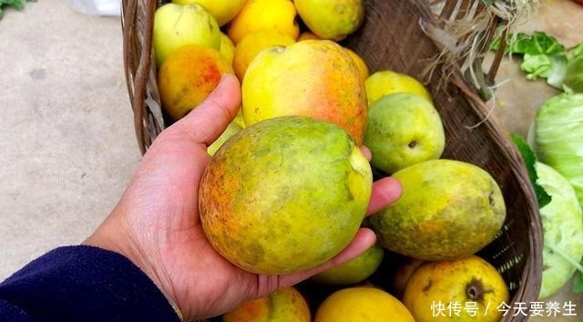 冬天，遇到这水果别手软，多买几个，能生吃能做菜，入口清爽开胃！