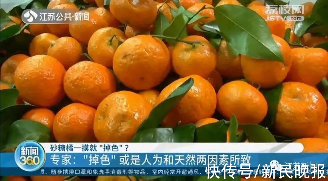 药剂|还敢吃吗？砂糖橘一摸就“掉色”？原来是这样