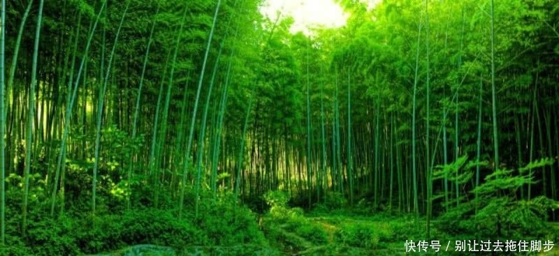 苏轼最俗气的一首诗,其中有两句还是至理名言,相信很多人都听过