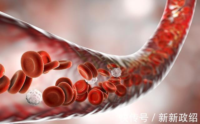 黄芪|黄芪和一物很“投缘”，经常泡水喝，养肝护肾，血栓不来扰