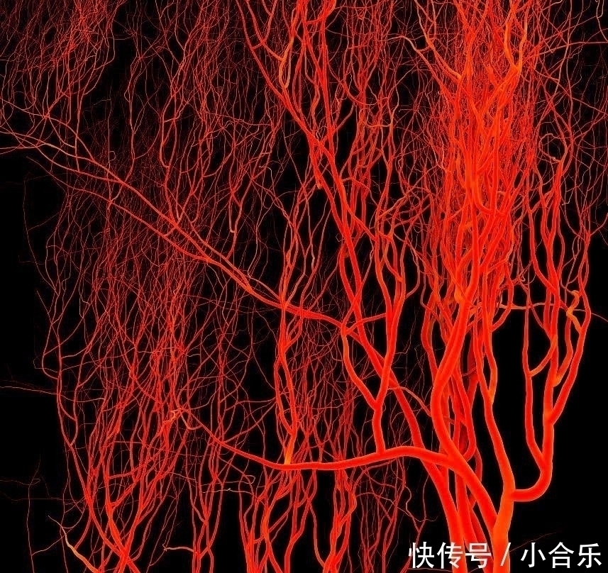 心脑血管|走路是天然的“长寿药”,医生避开两个时间点,很多人都走错