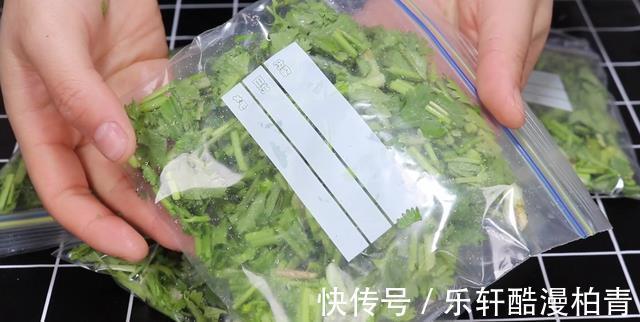 袋子|把香菜放在袋子里，放一年也新鲜，和刚买的一样，一年买两次就够