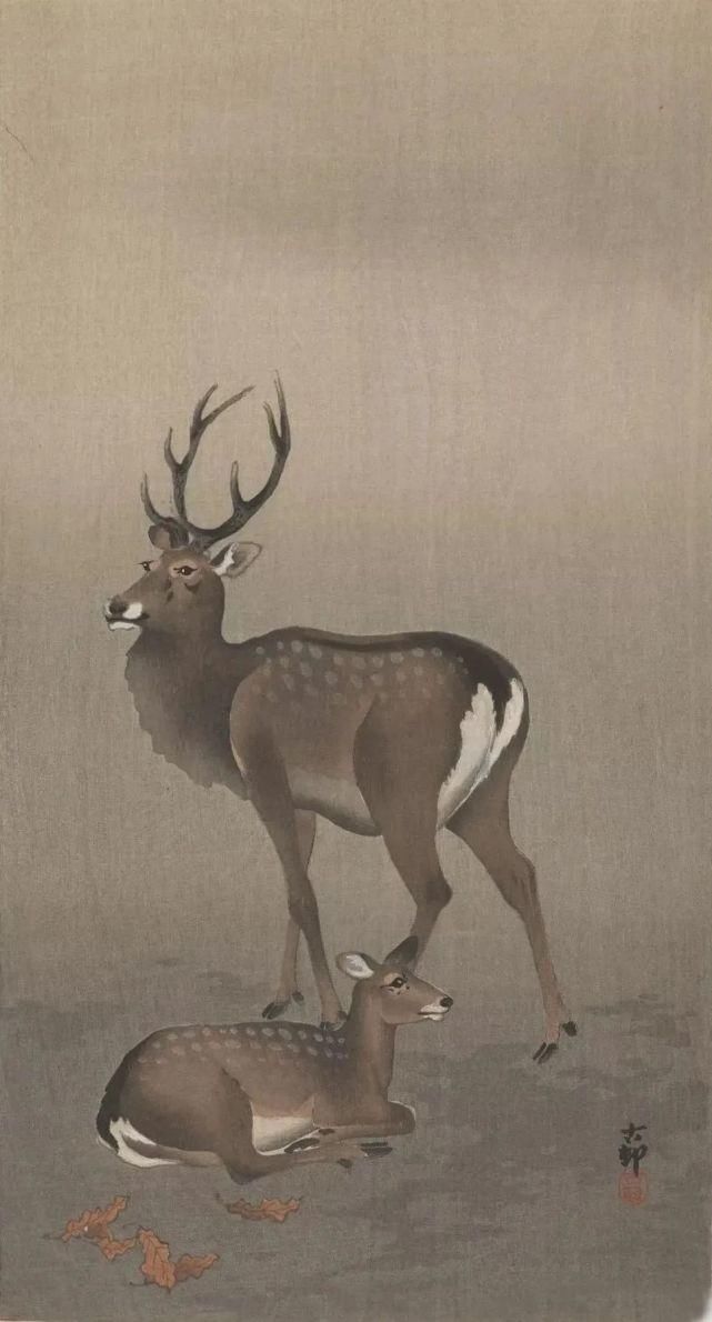 日本绘画大师的花鸟画，淡雅清新