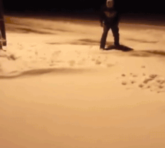 |搞笑GIF趣图:这货也能上地铁?