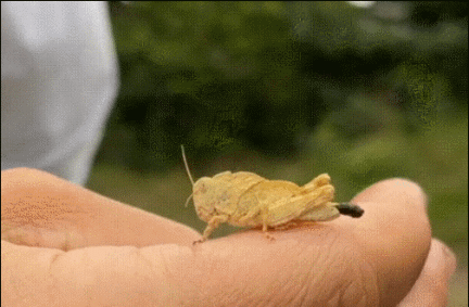 |搞笑GIF:再也不怕晚上睡觉摔下床啦