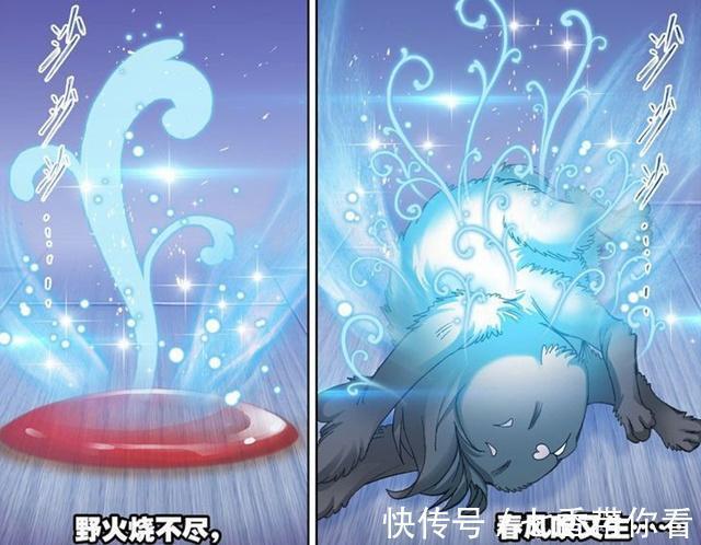 斗罗大陆|斗罗大陆:满头白发的小舞为何能够恢复?唐三的血液是关键