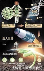 个体 为什么把种子送上太空再下来种,种出来的东西比较大?