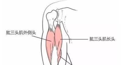 超级组|手臂练很久没效果你的训练强度太低了这么练，老手都感觉费劲