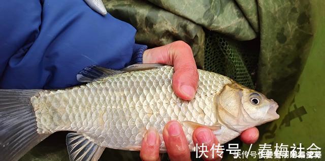 全国禁渔期陆续开始了,垂钓需规范,做到“该放就放,该狠就狠”