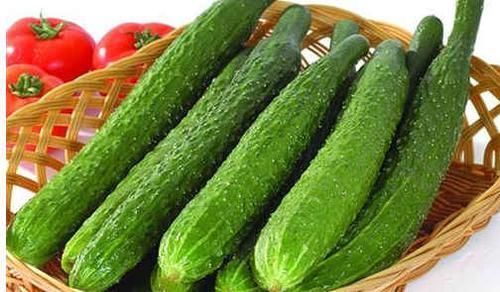 芹菜|11种减肥食物越吃越瘦，绿色健康，刮油减脂，减肥不用节食轻松瘦