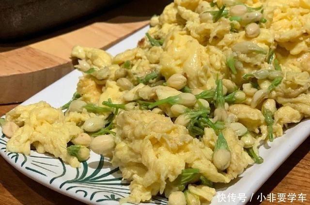 这5种花,个个好滋味,养的旺旺的,开一茬撸一茬,耐看又好吃