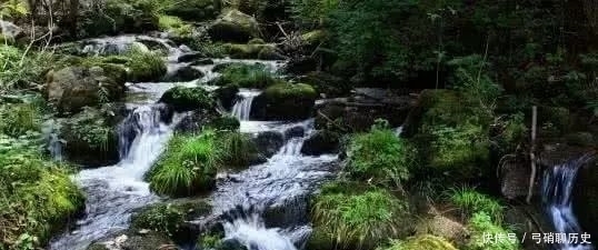 老年|烟雨夜读 深知身在情长在