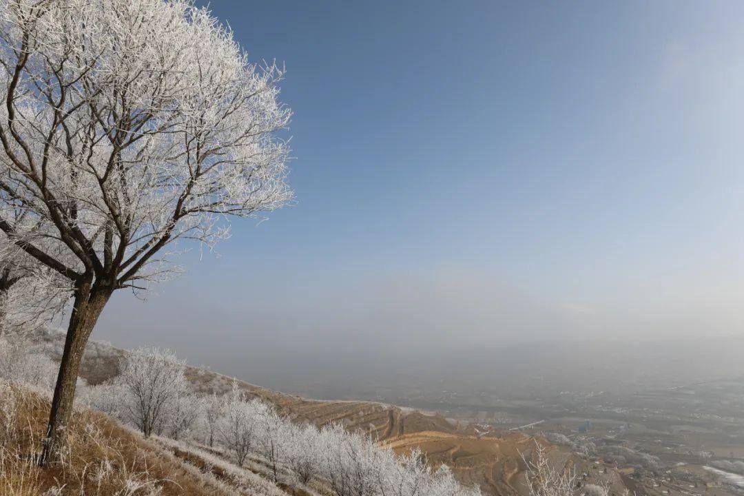 山湾|会宁：最好的风景在山湾里