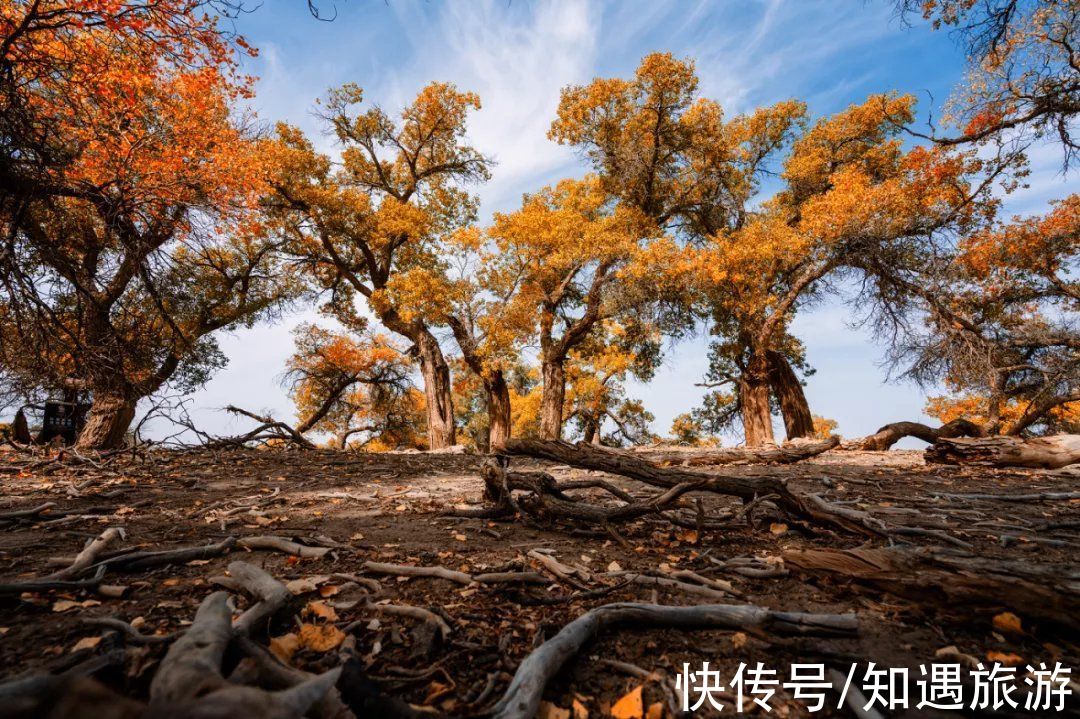 自驾|最值得一去的6处秋景，太美了！短暂的秋季美好，千万别错过