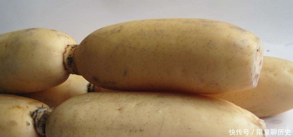 九孔|吃了这么多年莲藕,你知道“七孔和九孔”的区别吗?涨知识了