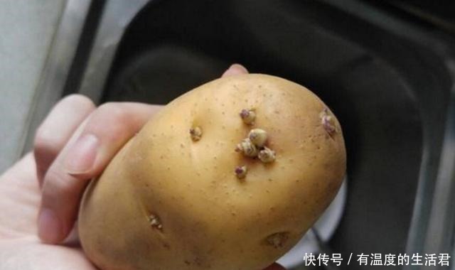 食物发芽|发芽的大蒜、土豆、生姜,是否能吃呢看完你就会懂得了
