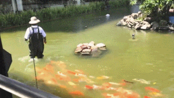 |搞笑GIF:姑娘 不行就别硬撑了 我看着都觉得尴尬