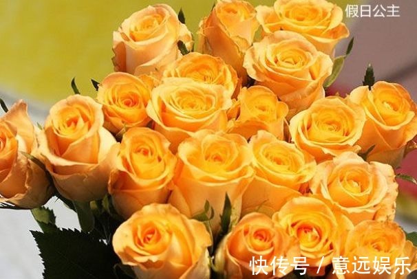 喜欢菊花,不妨养“精品玫瑰”假日公主,代表活力四射,金光灿灿