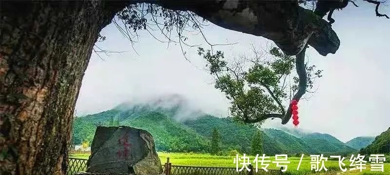 中国陶瓷|青瓷之美:初见即倾心,从此再难忘却