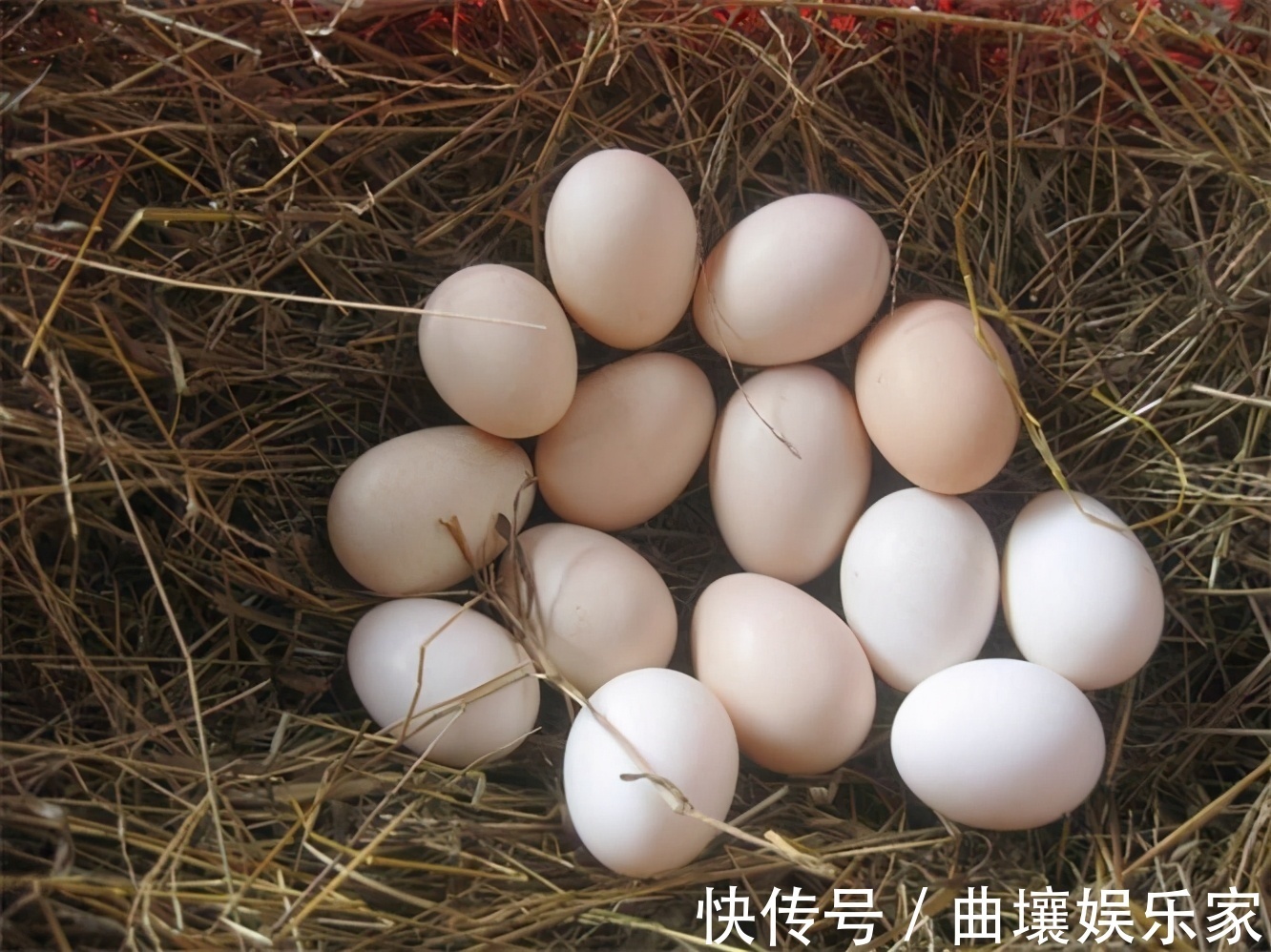 春冬|女性担心老太快,多吃3种食物,清理肠胃,排毒瘦身,肌肤更细腻