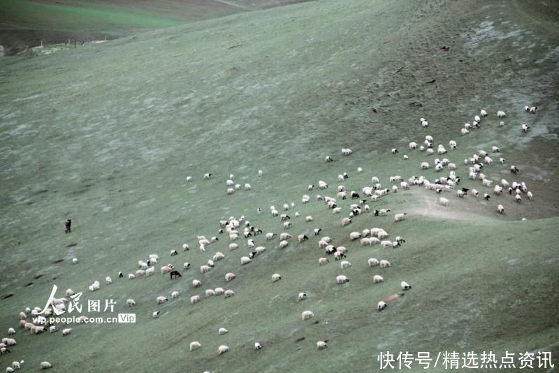 高原|青海祁连：高原上的田园风光