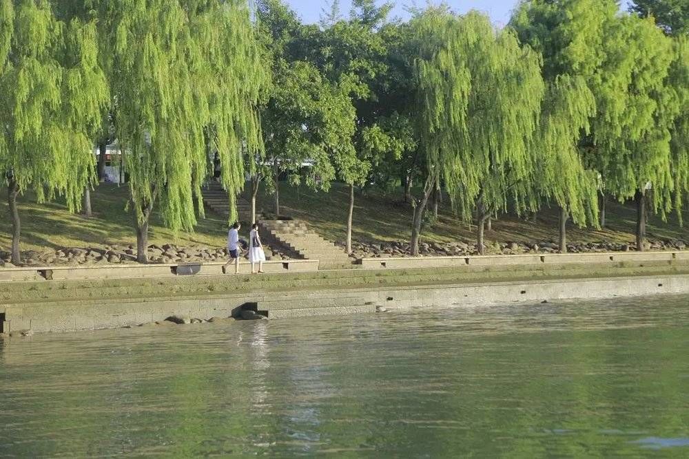 观众|电影里的声音,是如何“骗”过你的耳朵的?